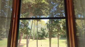 A window with a view of a grassy area and trees. - Duna house in the green, relaxing terratet halfway between the sea and the countryside (Donoratico)