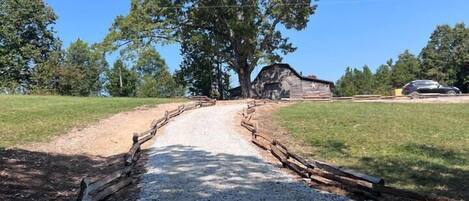 Un chemin de gravier mène à un bâtiment rustique en bois, avec un grand arbre au centre.