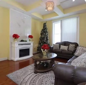 TV, fireplace
