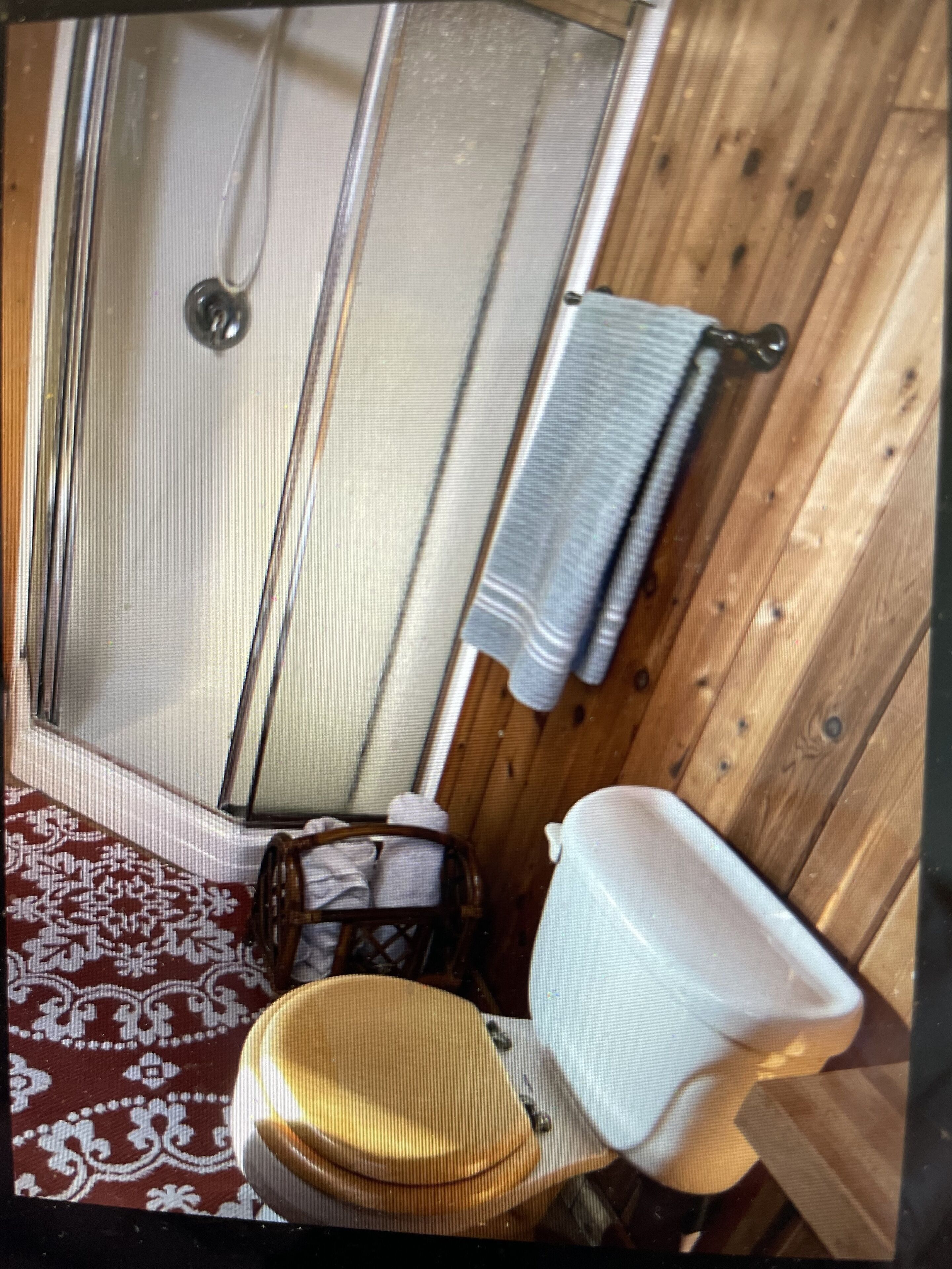 Shower, towels, soap, toilet paper