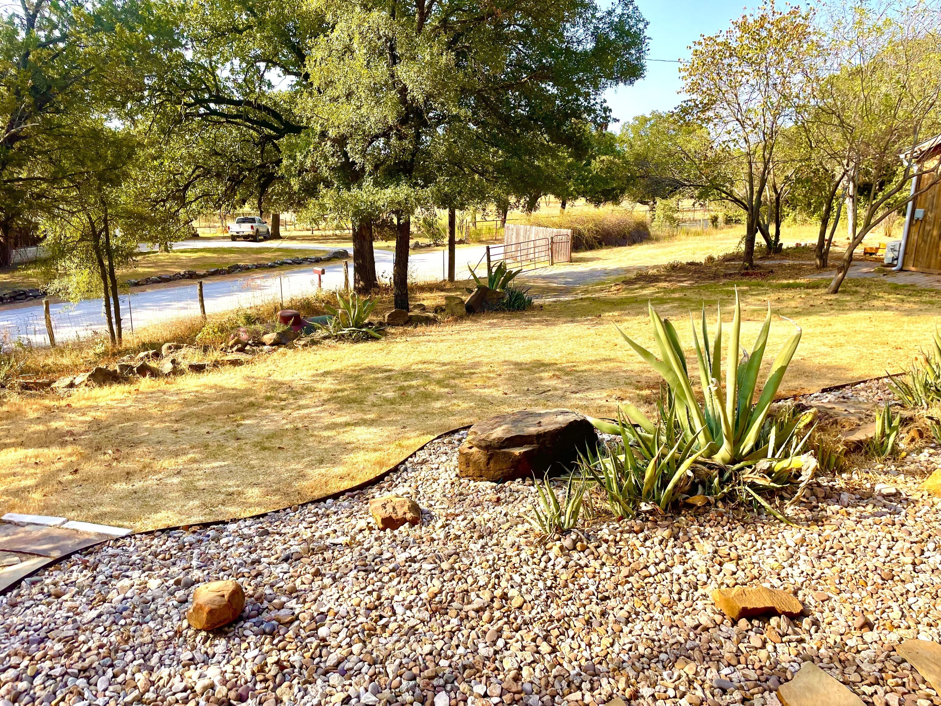 A landscaped outdoor area with a gravel path, rocks, and various plants.