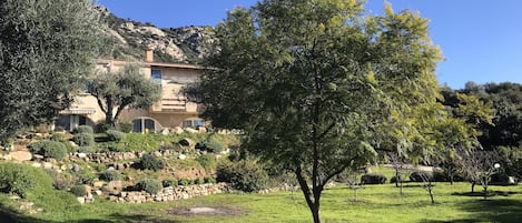 A Mediterranean-style villa with a stone facade, surrounded by lush greenery and a clear blue sky.
