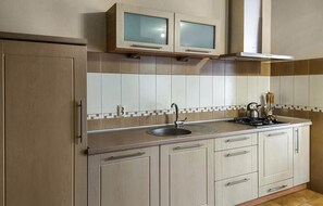 Fridge, stovetop, cookware/dishes/utensils