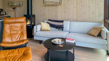 Fernseher, Kamin