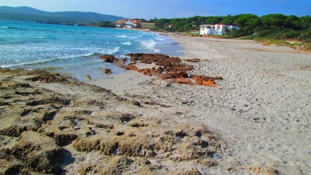 Une plage au sol rocheux, avec un bâtiment visible au loin.