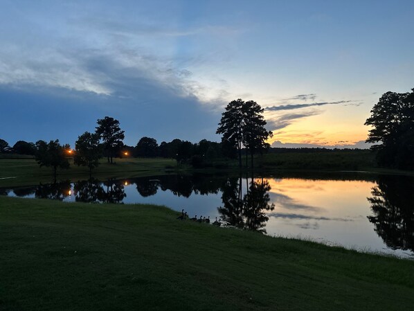 Un lac paisible où se reflètent les arbres et un coucher de soleil.