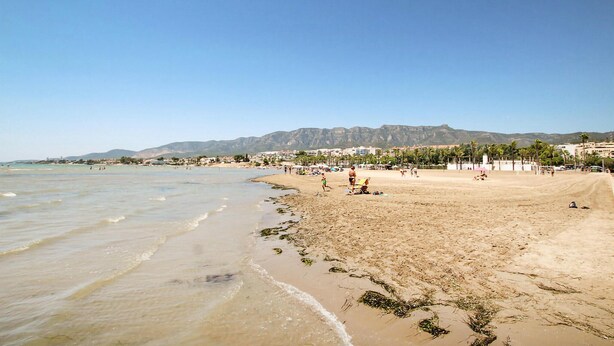 Une plage avec un ciel dégagé, un rivage sablonneux et une montagne en arrière-plan.