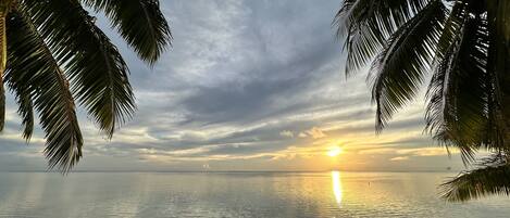 Playa en los alrededores