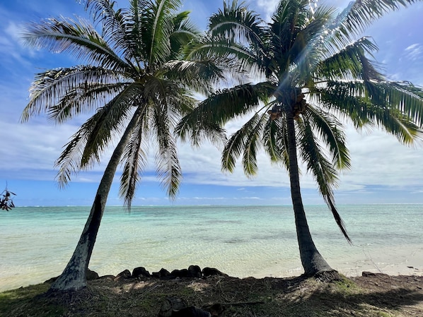 Plage à proximité