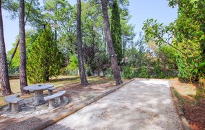 Stroll along the winding path to a serene picnic area surrounded by tall trees and a wooden fence.