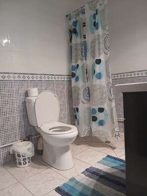 Shower, towels, toilet paper