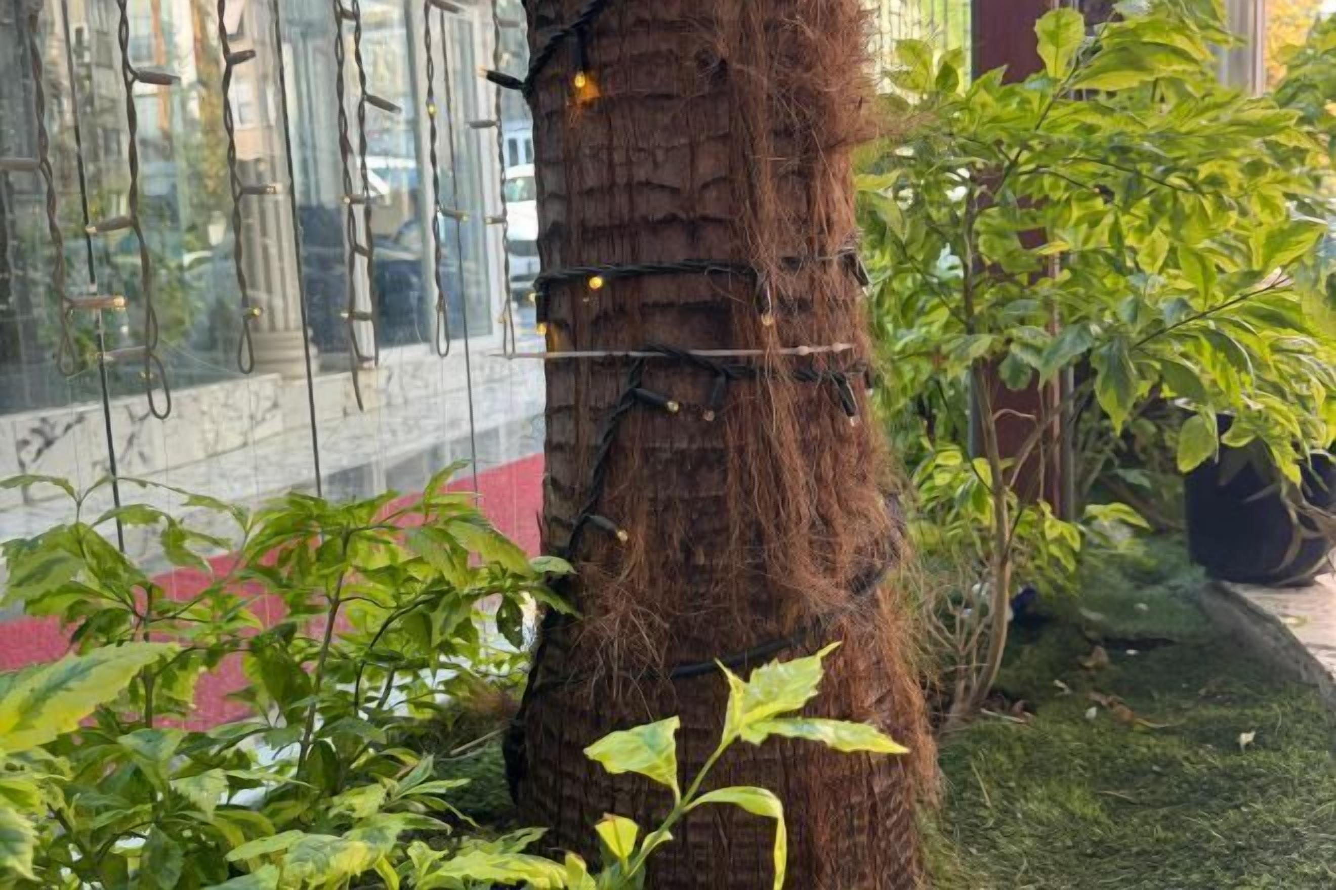 외부 세부 사진