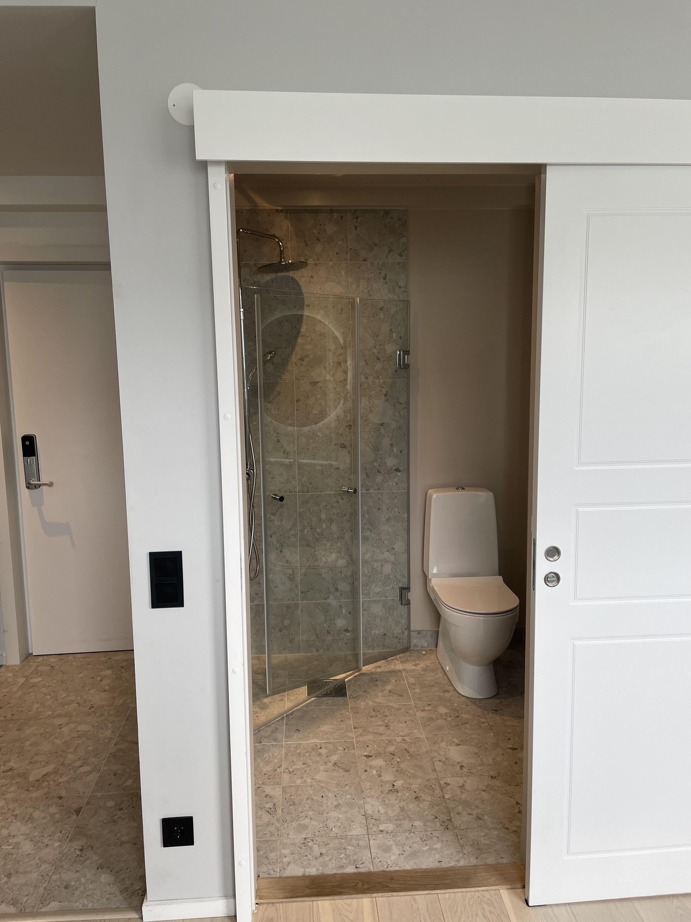 A modern bathroom with a glass-enclosed shower, a toilet, and a white door.