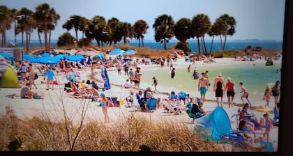 Private room and bathroom in beautiful Tarpon Spring only minutes to beaches!