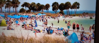 Private room and bathroom in beautiful Tarpon Spring only minutes to beaches!