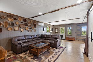 TV, fireplace, DVD player, books