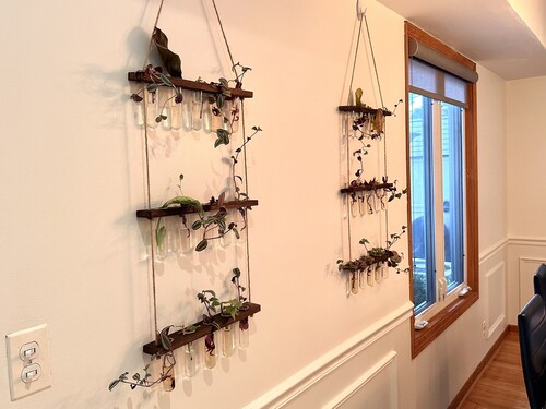 Cozy retreat in a prime location