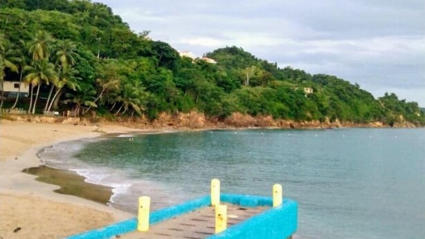 Une plage avec une promenade en bois menant à l’eau, entourée d’une végétation luxuriante et de collines.