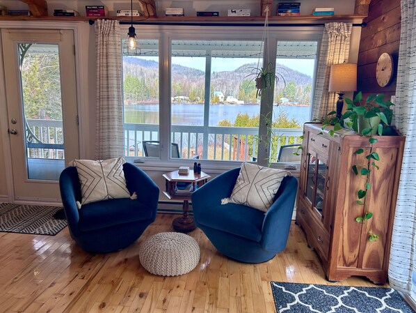 TV, fireplace, books