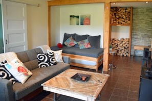 Televisión, chimenea y libros 