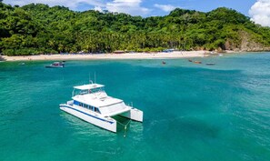 En la playa y camastros 