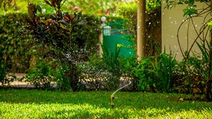 A garden with a sprinkler system. - Cottage Sleeps 2 - Pool, Parking, Beach Access (Diani Beach)