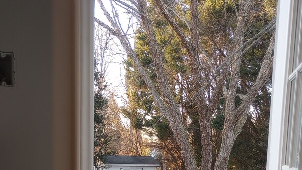 A view through a door into a backyard with a wooden deck, a white fence, and trees. - Clean Comfy Cottage - Near Downtown High Point Furniture Market, Hospitals & HPU (High Point)
