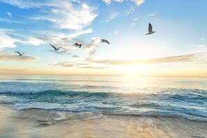 Unclassified image, 5 of 50, button