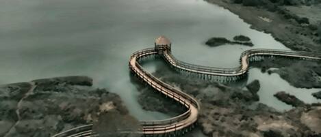 An aerial view of a winding pier extending into a body of water, surrounded by dense vegetation.