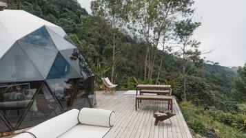 Luxury Suite | 1 bedroom