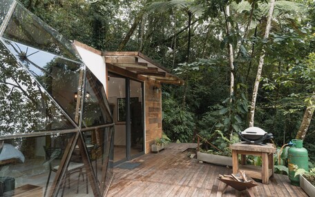 A wooden deck with a glass enclosure, surrounded by lush greenery.