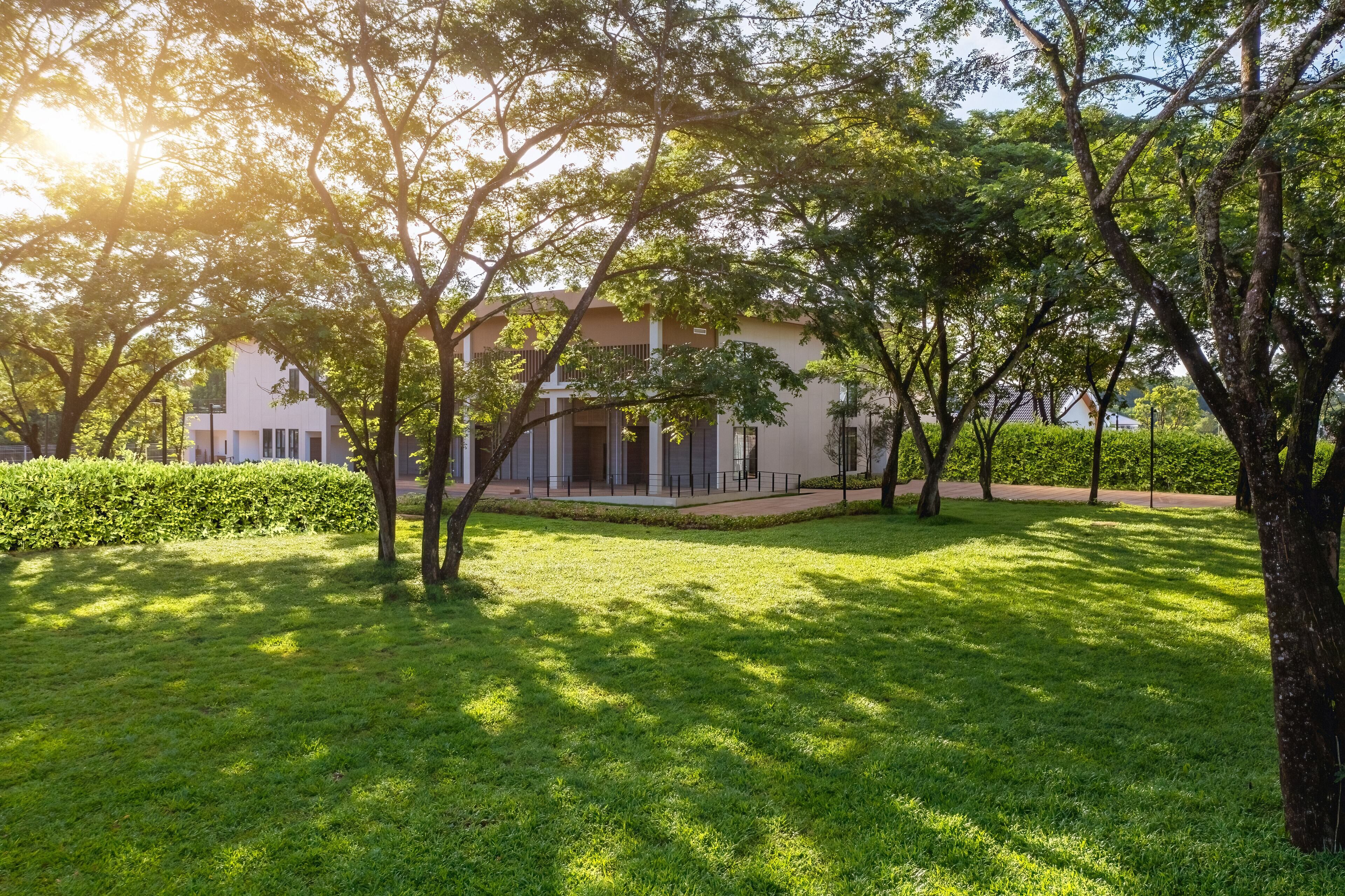 A well-maintained grassy area with trees and a building with a modern architectural style.