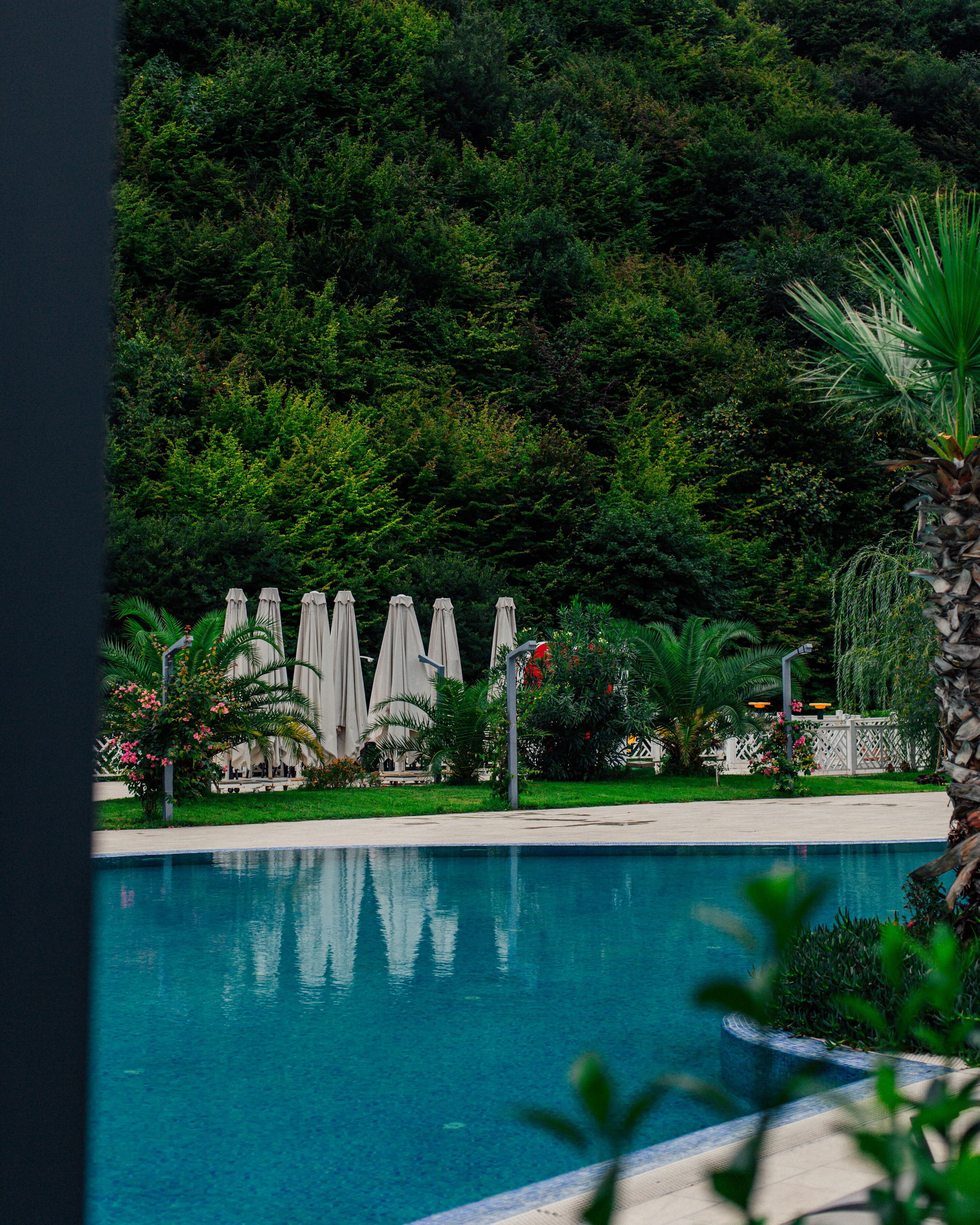 A swimming pool with a view of lush greenery and a white fence in the background.