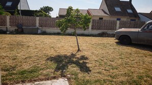 Patio trasero residencial con un árbol pequeño, un coche estacionado y casas al fondo.