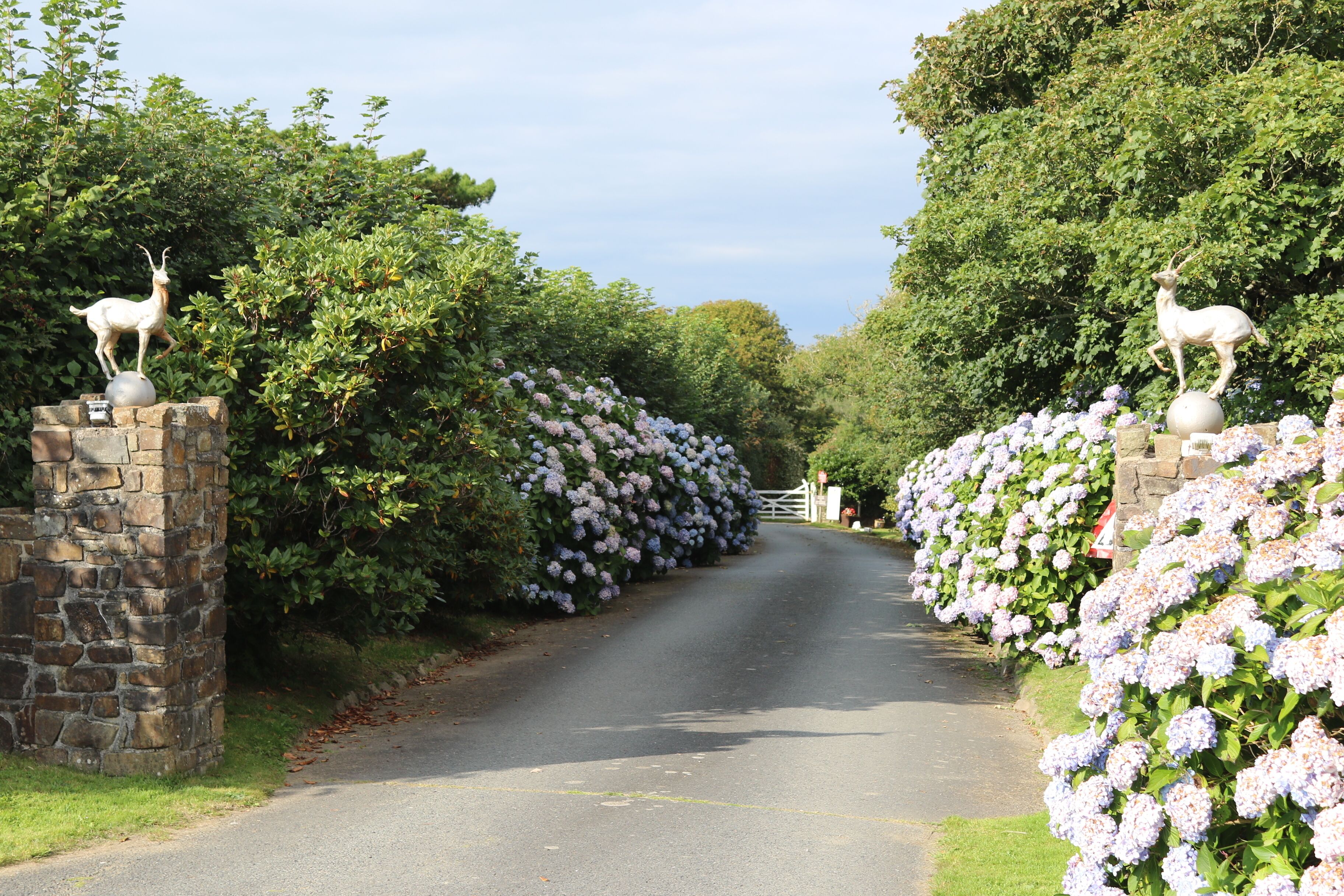 Área da propriedade