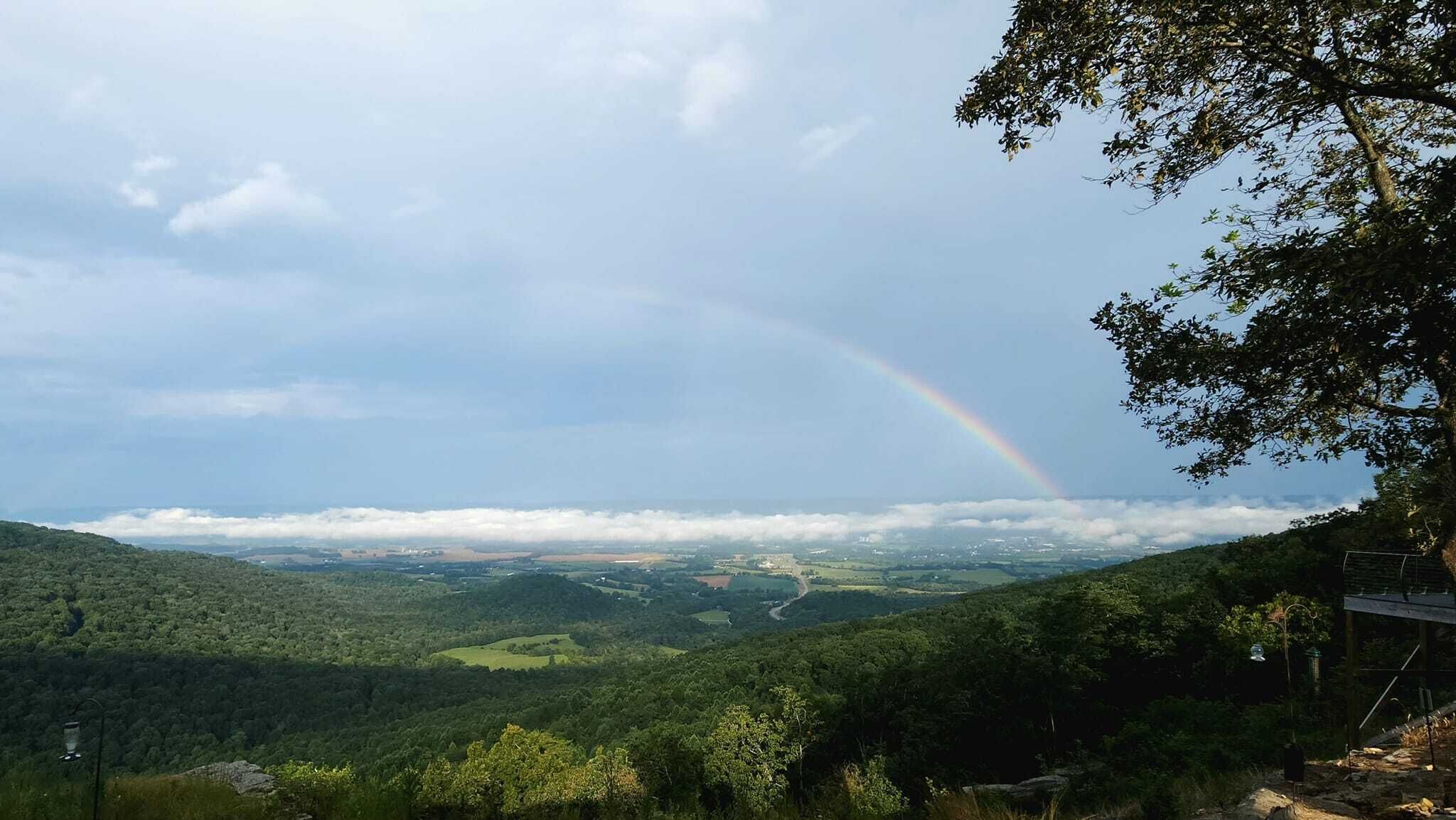 A lush valley with a rainbow, dense greenery, and a winding road.