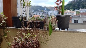 Een balkon met verschillende potplanten, uitzicht op een stadsgezicht en een gebouw op de achtergrond.