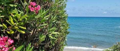 On the beach, sun loungers, beach towels