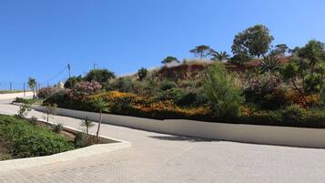 A paved pathway with a landscaped garden featuring various plants and flowers.