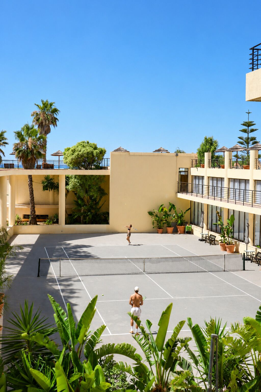 Una cancha de tenis con red, rodeada de macetas y palmeras, con un edificio al fondo.