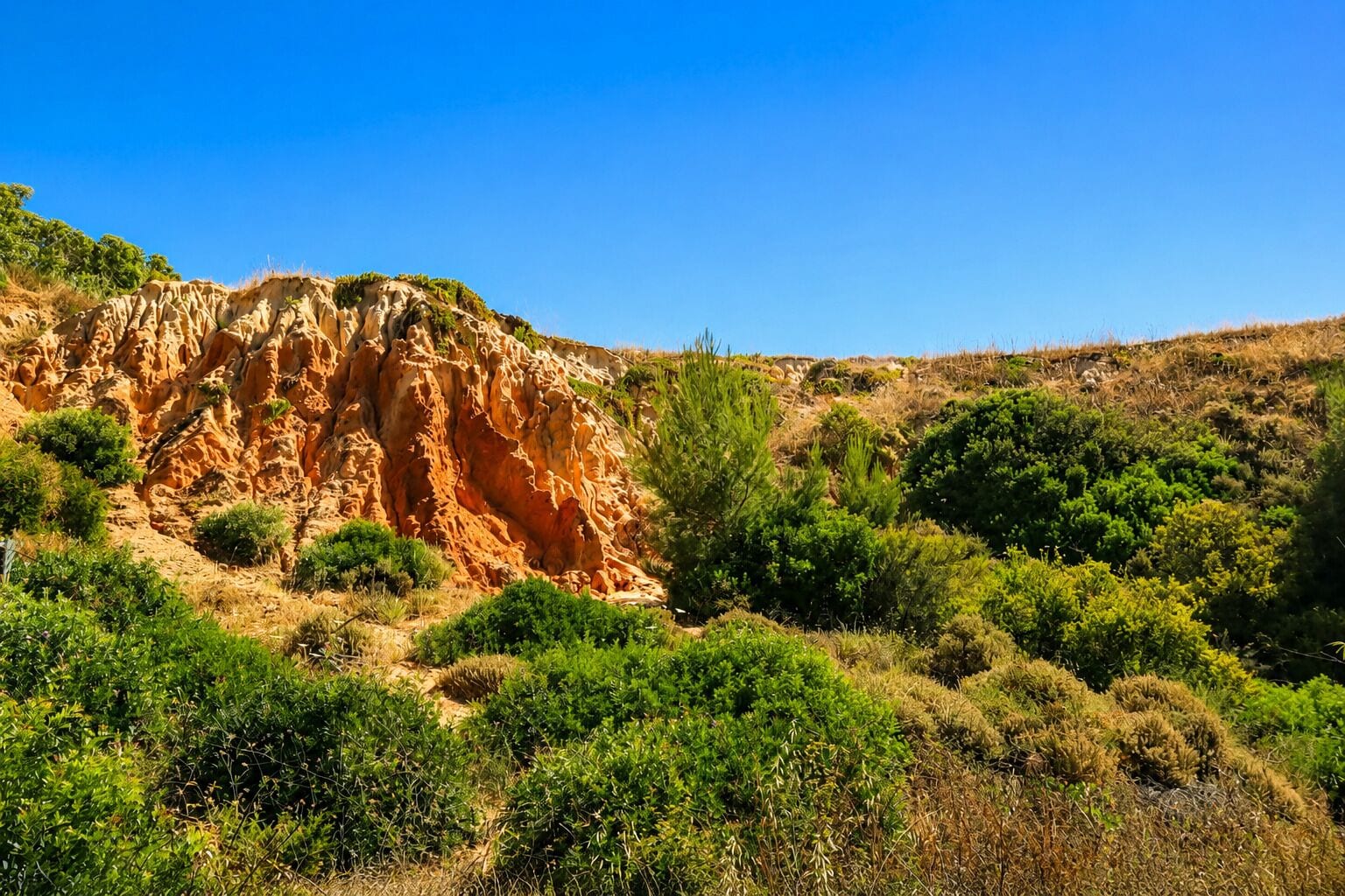 A rocky hillside with sparse vegetation and a clear blue sky.