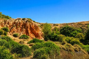 A rocky hillside with sparse vegetation and a clear blue sky.