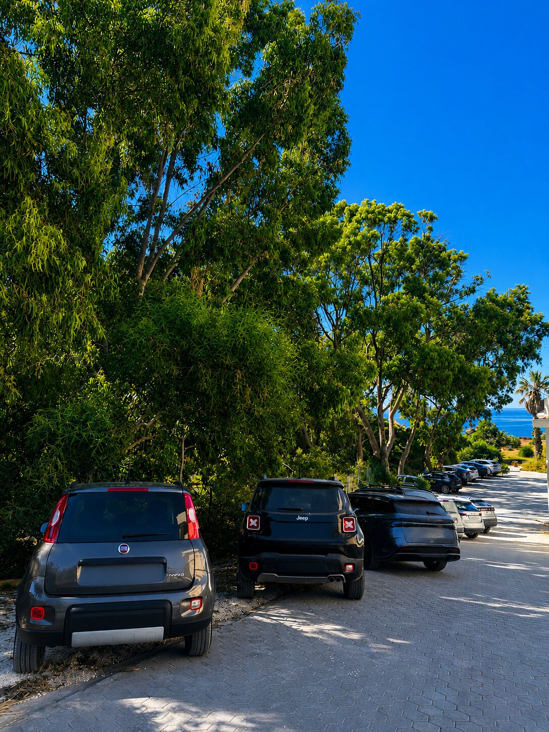 A parking lot with several cars, trees, and a clear blue sky.
