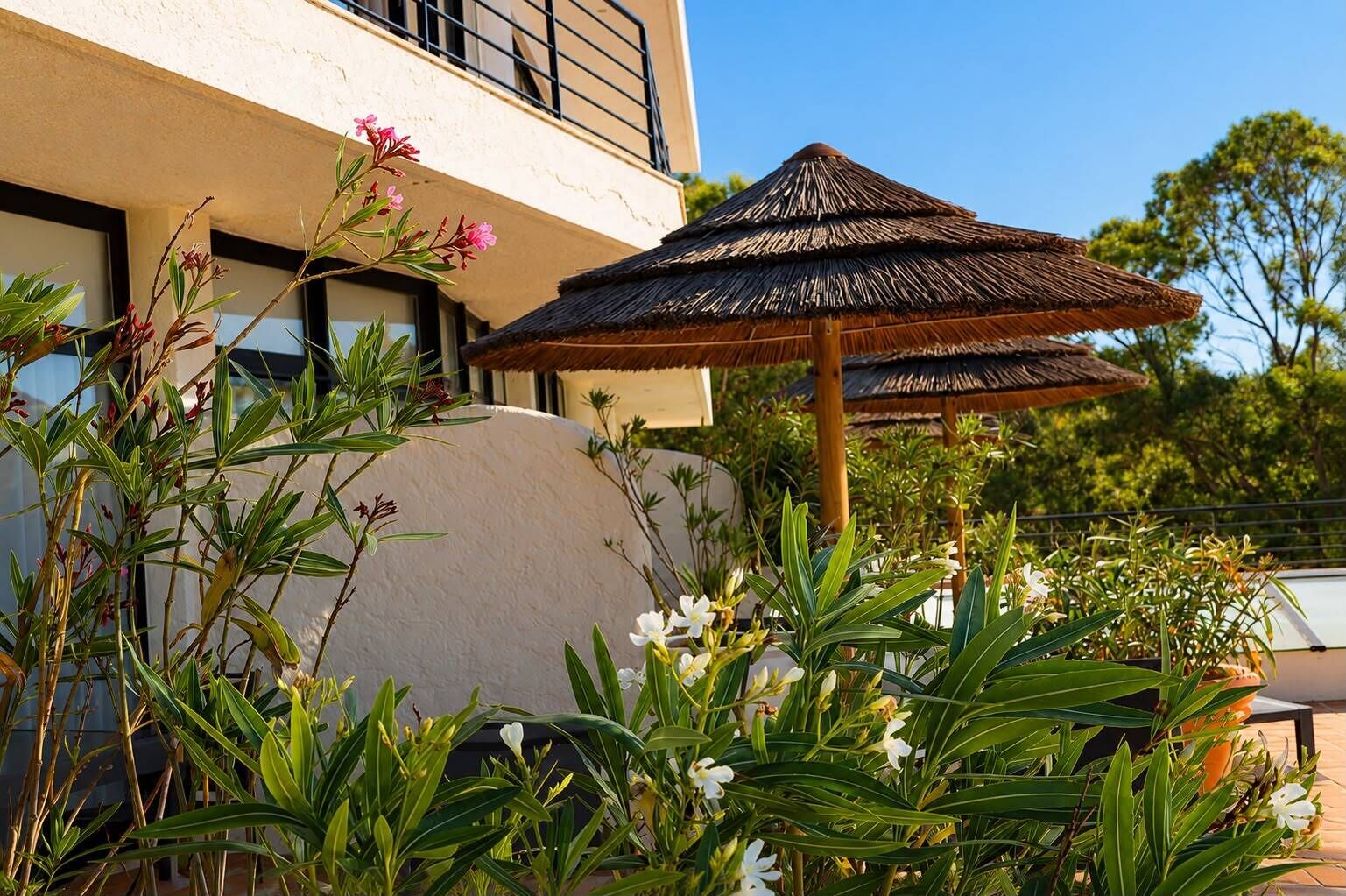 Sea View Room | Terrasse/Patio