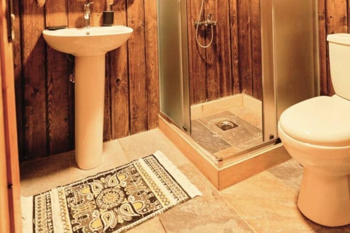 Une salle de bain en bois avec une douche à parois de verre, un lavabo et des toilettes.