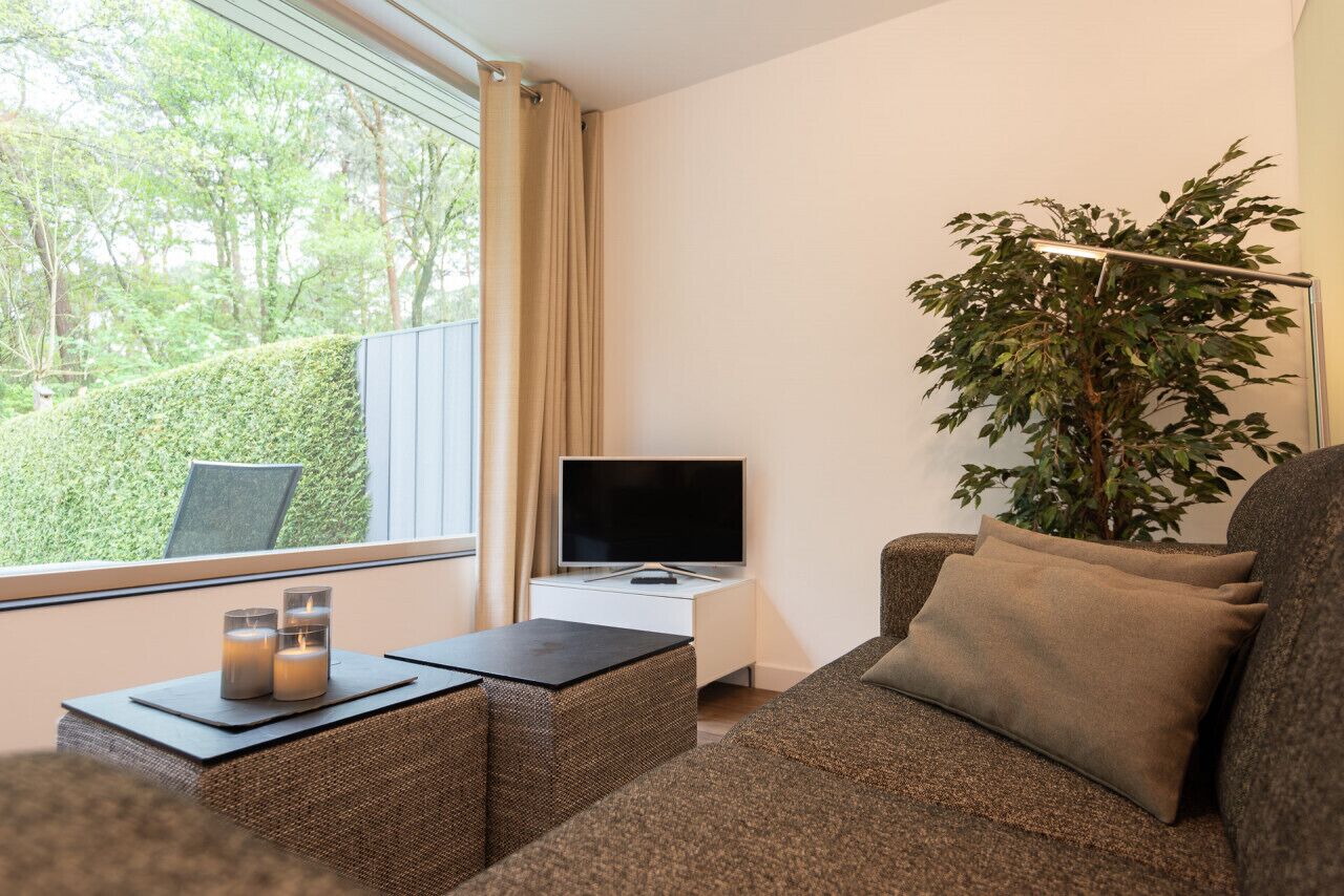 تلفزيون، كُتُب