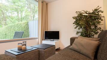 Télévision, livres