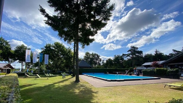En swimmingpool med en gräsyta, solstolar och ett stort träd.