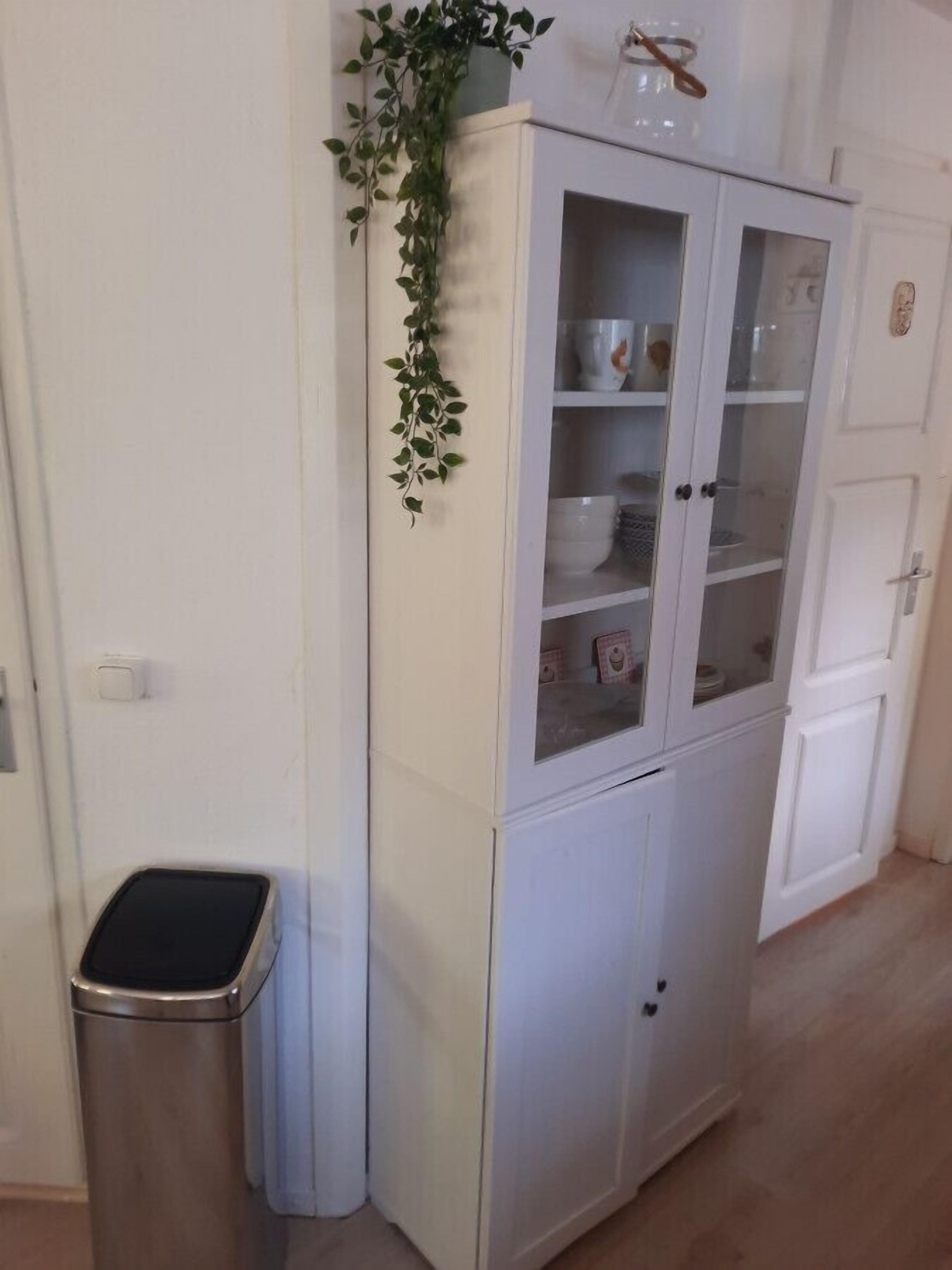 Un meuble blanc avec des portes en verre, une petite poubelle et une plante posée sur le dessus.
