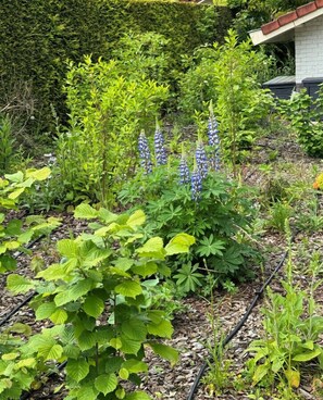 Terrein van de accommodatie